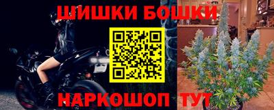 стаф Лесосибирск